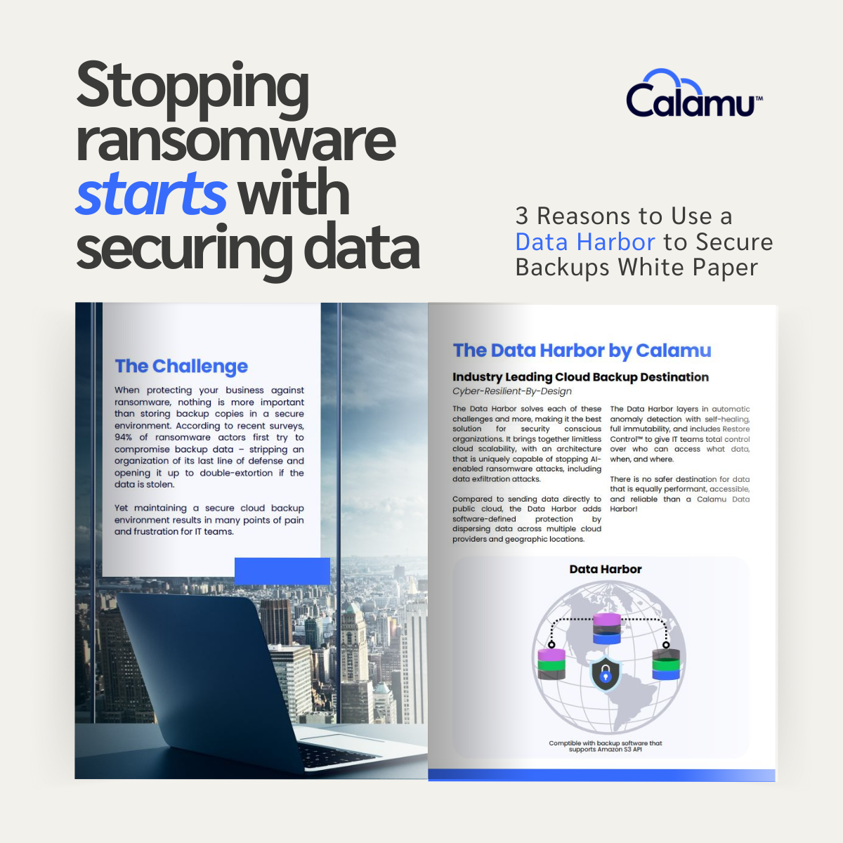 White Paper Three Reasons to Use a Data Harbor for Backup